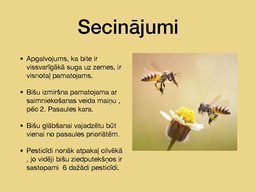 Prezentācija 'Bites', 14.