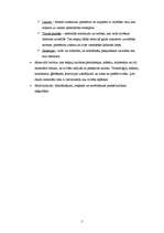 Konspekts 'Kultūra', 5.