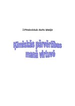 Referāts 'Ķīmiskās pārvērtības manā virtuvē', 1.