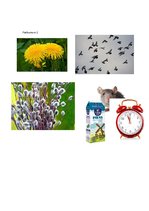 Konspekts 'Konspekts latviešu valodā 1.klasei', 4.