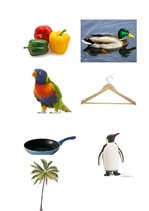 Konspekts 'Konspekts latviešu valodā 1.klasei', 5.