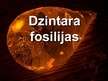 Prezentācija 'Dzintara fosīlijas', 1.