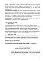 Referāts 'Elektroniskais un mobilais mārketings', 10.