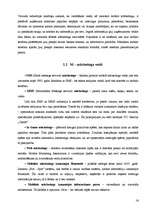 Referāts 'Elektroniskais un mobilais mārketings', 16.