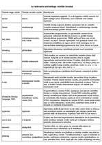Referāts 'Elektroniskais un mobilais mārketings', 25.