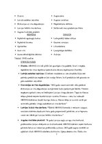 Referāts 'Mārketinga situācijas analīze', 7.