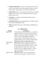 Referāts 'Mārketinga situācijas analīze', 9.