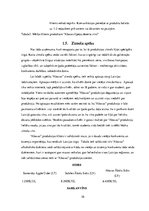 Referāts 'Mārketinga situācijas analīze', 10.