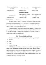 Referāts 'Mārketinga situācijas analīze', 11.