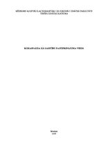 Referāts 'Rokasnauda kā darījuma pastiprinājuma veids', 1.