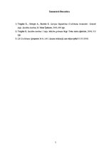 Referāts 'Rokasnauda kā darījuma pastiprinājuma veids', 7.