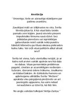 Prezentācija 'Šerilas Streidas filma un grāmata "Mežone"', 3.