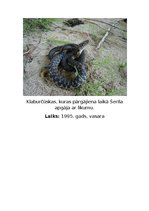 Prezentācija 'Šerilas Streidas filma un grāmata "Mežone"', 9.