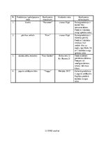 Biznesa plāns 'Smūtiju bārs SIA "Svaigsula"', 5.