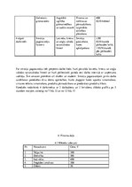 Biznesa plāns 'Smūtiju bārs SIA "Svaigsula"', 8.