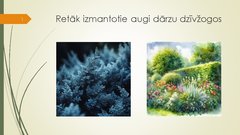 Prezentācija 'Retāk izmantotie augi dārzu dzīvžogos', 1.