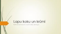 Prezentācija 'Retāk izmantotie augi dārzu dzīvžogos', 15.