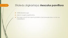 Prezentācija 'Retāk izmantotie augi dārzu dzīvžogos', 16.