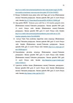 Referāts 'Izmeklēšanas darbības kriminālprocesā', 25.