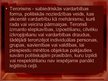 Prezentācija 'Starptautiskais terorisms', 2.