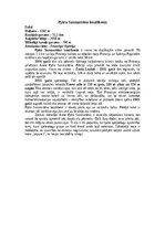 Referāts 'Alas', 15.