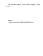 Eseja 'Žans Žaks Ruso "Cilvēks piedzimst brīvs, bet visur tiek iekalts važās"', 4.