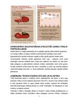 Referāts 'Ekonomiskās augsmes valsts politikā', 5.