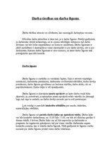 Konspekts 'Darba tiesības un darba līgums', 1.