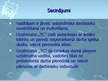 Prezentācija 'Personāla atlases loma uzņēmuma panākumu nodrošināšanai', 10.