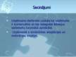 Prezentācija 'Personāla atlases loma uzņēmuma panākumu nodrošināšanai', 11.