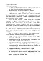 Biznesa plāns 'Dienas nodarbinātības centrs', 2.