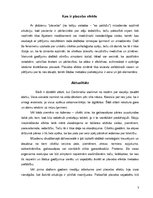 Konspekts 'Placebo efekta pielietojums', 3.