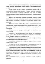 Diplomdarbs 'Lauku un pilsētas pusaudžu trauksmes un agresijas īpatnības', 7.