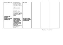 Konspekts 'Stundas konspekts tēlotājmākslā', 3.