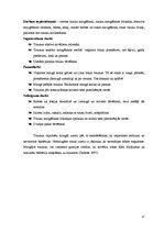 Referāts 'Trauku tīrīšanas iekārtu un inventāra salīdzinājums sabiedriskās ēdināšanas uzņē', 17.