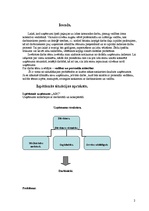 Referāts 'Vadības psiholoģija', 2.