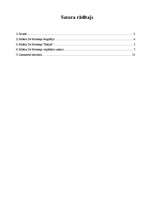 Referāts 'Mišels de Montēņs', 1.