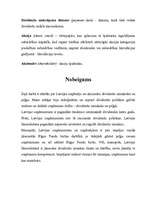 Referāts 'Latvijas uzņēmumu dividenžu problemātika', 11.