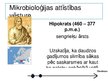 Prezentācija 'Mikrobioloģijas attīstības vēsture', 2.