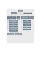 Konspekts 'Audita plāna izpilde', 2.