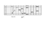 Konspekts 'Audita plāna izpilde', 5.