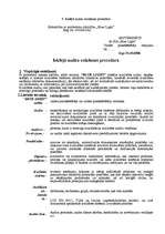 Konspekts 'Audita plāna izpilde', 14.