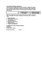 Konspekts 'Audita plāna izpilde', 20.