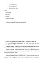 Paraugs 'Renesanse. Reformācija', 3.