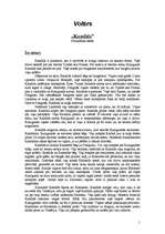 Eseja 'Voltērs "Kandids"', 1.