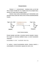 Referāts 'Asparagīnskābe, glutamīnskābe, histidīns', 11.