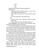 Referāts 'Personības psiholoģiskais raksturojums', 13.