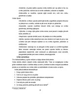Referāts 'Personības psiholoģiskais raksturojums', 29.