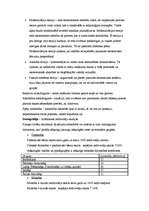 Konspekts 'Globalizācija', 5.