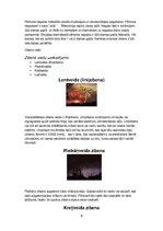 Referāts 'Ķermeņu elektrizācija', 8.